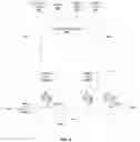 Fig. 11 - System and method for generation of point of use reactive oxygen species