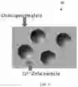 Fig. 02 - Optical nanocomposites for laser applications