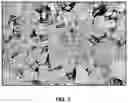 Fig. 02 - Struvite-K and syngenite composition for use in building materials