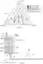 Fig. 03 - Struvite-K and syngenite composition for use in building materials