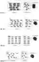 Fig. 03 - Pavers and block composite materials and methods of preparation thereof