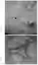 Fig. 07 - SOIL ENHANCEMENT
