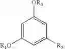 Fig. 41 - 2-POSITION MODIFICATION FOR SYNTHESIS OF RESORCINOL SCAFFOLDING