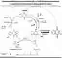 Fig. 01 - Menaquinol compositions and methods of treatment