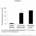 Fig. 04 - Menaquinol compositions and methods of treatment