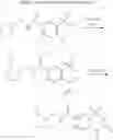 Fig. 16 - PSYCHOTROPIC AGENTS AND USES THEREOF