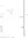 Fig. 09 - Green preparation method for quinoline compounds