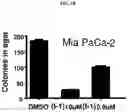 Fig. 03 - Compounds, compositions, methods for treating diseases, and methods for preparing compounds