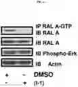 Fig. 10 - Compounds, compositions, methods for treating diseases, and methods for preparing compounds