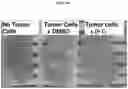 Fig. 12 - Compounds, compositions, methods for treating diseases, and methods for preparing compounds