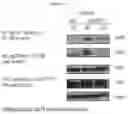 Fig. 03 - Methods using HDAC11 inhibitors