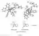 Fig. 03 - Highly diastereoselective construction of the 4,5-spirocycle via palladium-catalyzed intramolecular alkenylation