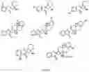 Fig. 05 - Highly diastereoselective construction of the 4,5-spirocycle via palladium-catalyzed intramolecular alkenylation