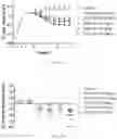 Fig. 15 - Benzothiophene-based selective estrogen receptor downregulators