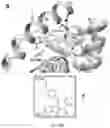 Fig. 17 - Benzothiophene-based selective estrogen receptor downregulators