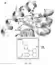 Fig. 18 - Benzothiophene-based selective estrogen receptor downregulators