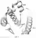 Fig. 19 - Benzothiophene-based selective estrogen receptor downregulators