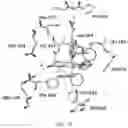 Fig. 20 - Benzothiophene-based selective estrogen receptor downregulators
