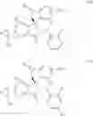 Fig. 110 - Isoindolinone inhibitors of the MDM2-p53 interaction having anticancer activity
