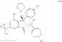 Fig. 133 - Isoindolinone inhibitors of the MDM2-p53 interaction having anticancer activity