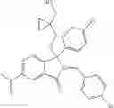 Fig. 263 - Isoindolinone inhibitors of the MDM2-p53 interaction having anticancer activity
