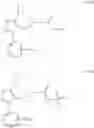 Fig. 35 - Isoxazole analogs as FXR agonists and methods of use thereof