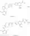 Fig. 4541 - Isoxazole analogs as FXR agonists and methods of use thereof