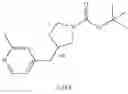 Fig. 147 - MONOCYCLIC OGA INHIBITOR COMPOUNDS