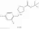 Fig. 171 - MONOCYCLIC OGA INHIBITOR COMPOUNDS
