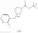 Fig. 199 - MONOCYCLIC OGA INHIBITOR COMPOUNDS