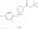 Fig. 201 - MONOCYCLIC OGA INHIBITOR COMPOUNDS