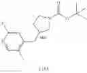 Fig. 205 - MONOCYCLIC OGA INHIBITOR COMPOUNDS
