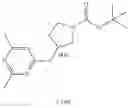 Fig. 217 - MONOCYCLIC OGA INHIBITOR COMPOUNDS