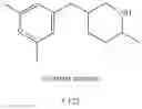 Fig. 246 - MONOCYCLIC OGA INHIBITOR COMPOUNDS