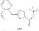 Fig. 256 - MONOCYCLIC OGA INHIBITOR COMPOUNDS
