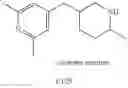 Fig. 520 - MONOCYCLIC OGA INHIBITOR COMPOUNDS