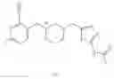 Fig. 569 - MONOCYCLIC OGA INHIBITOR COMPOUNDS