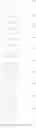Fig. 760 - MONOCYCLIC OGA INHIBITOR COMPOUNDS