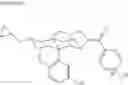 Fig. 10 - Morphinan derivative