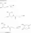 Fig. 206 - Metabotrophic glutamate receptor 5 modulators and methods use thereof