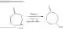 Fig. 231 - Metabotrophic glutamate receptor 5 modulators and methods use thereof