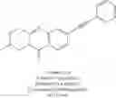 Fig. 369 - Metabotrophic glutamate receptor 5 modulators and methods use thereof