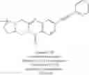 Fig. 393 - Metabotrophic glutamate receptor 5 modulators and methods use thereof