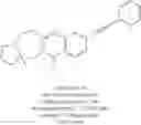 Fig. 485 - Metabotrophic glutamate receptor 5 modulators and methods use thereof