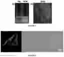 Fig. 05 - Luminogens for biological applications