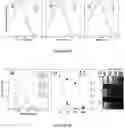 Fig. 34 - Luminogens for biological applications