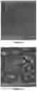 Fig. 11 - METHODS OF MAKING NANOSTRUCTURED METAL-ORGANIC FRAMEWORKS