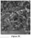 Fig. 12 - METHODS OF MAKING NANOSTRUCTURED METAL-ORGANIC FRAMEWORKS