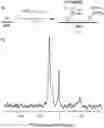 Fig. 01 - Organosilicon on solid oxides, and related complexes, compositions, methods and systems