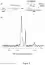 Fig. 04 - Organosilicon on solid oxides, and related complexes, compositions, methods and systems
